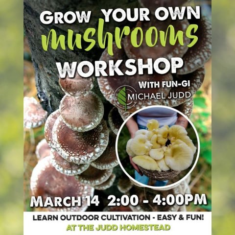 Poster, Fungus, Mushroom. Text: GROW YOUR OWN mushrooms WORKSHOP WITH FUN-GI MICHAEL JUDD MARCH 14 2:00 - 4:00PM LEARN OUTDOOR CULTIVATION - EASY &amp; FUN! AT THE JUDD HOMESTEAD