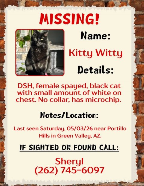 Advertisement, Poster, Cat. Text: MISSING! Name: Kitty Witty Details: DSH, female spayed, black cat with small amount of white on chest. No collar, has microchip. Notes/Location: Last seen Saturday, 05/03/26 near Portillo Hills in Green Valley, AZ. IF SIGHTED OR FOUND CALL: Sheryl (262) 745-6097