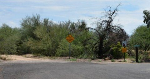 Road, Vegetation, Outdoors.