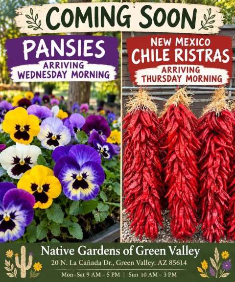 Flower, Garden, Gardening. Text: COMING SOON NEW MEXICO PANSIES CHILE RISTRAS ARRIVING ARRIVING WEDNESDAY MORNING THURSDAY MORNING Native Gardens of Green Valley 20 N. La Cañada Dr., Green Valley, AZ 85614 Mon-Sat 9 AM-5PM I Sun 10 AM-3PM
