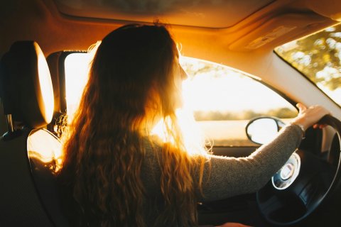 Driving, Person, Vehicle.