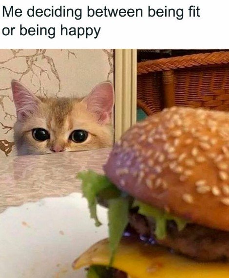 Burger, Food, Cat. Text: Me deciding between being fit or being happy