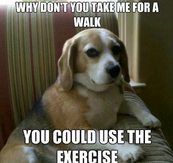 Dog, Hound, Beagle. Text: WHY DON'T YOU TAKE ME FOR A WALK YOU COULD USE THE EXERCISE