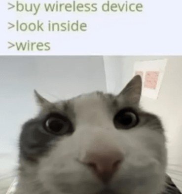 Animal, Cat, Kitten. Text: >buy wireless device >look inside >wires