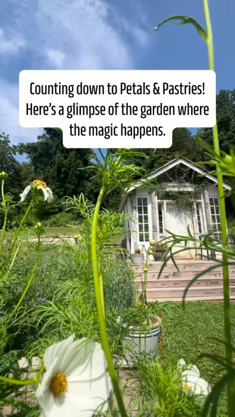Garden, Shelter, Cottage. Text: Counting down to Petals &amp; Pastries! Here's a glimpse of the garden where the magic happens.
