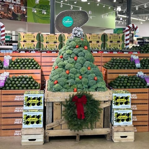 Person, Christmas Decorations, Christmas Tree. Text: LY - ados Avocad xico Mexi Calavo Mexi Calavo Mex