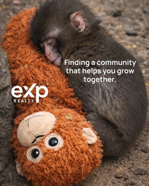 Mammal, Monkey, Bear. Text: Finding a community that helps you grow together. exp REALTY