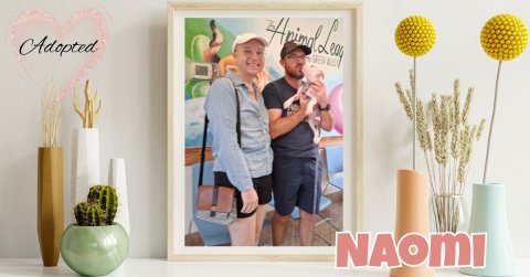 Potted Plant, Man, Person. Text: Adopted NAOMI