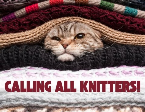 Home Decor, Blanket, Cat. Text: CALLING ALL KNITTERS!