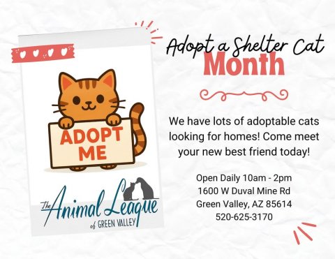 Advertisement, Poster, Greeting Card. Text: Adopt a Shelter Cat Month We have lots of adoptable cats ADOPT looking for homes! Come meet ME your new best friend today! Open Daily 10am-2pm 1600 W Duval Mine Rd Green Valley, AZ 85614 520-625-3170 of