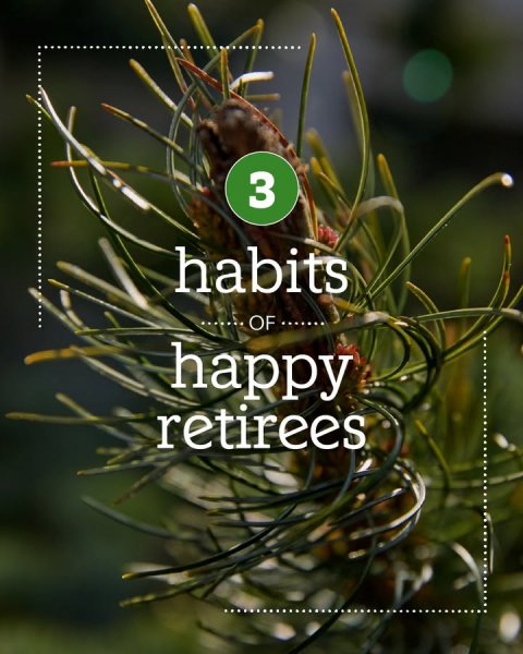 Tree, Pine, Conifer. Text: 3 habits happy retirees
