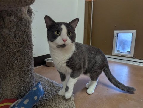 Computer Hardware, Monitor, Screen.