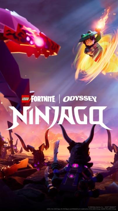 Book, Publication, Advertisement. Text: LEGO FORTNITE ODYSSEY