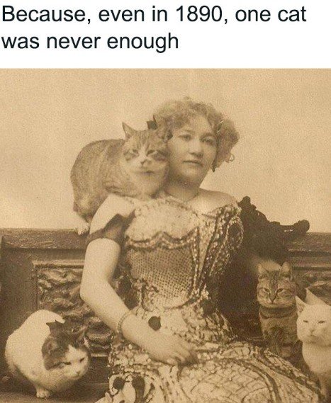 Painting, Person, Portrait. Text: Because, even in 1890, one cat was never enough