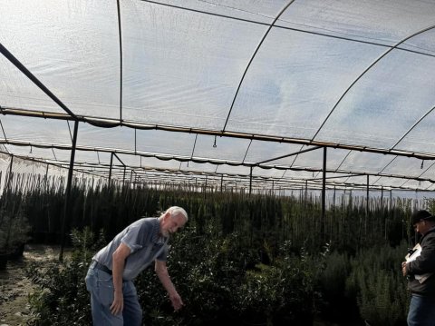 Garden, Nature, Gardening.