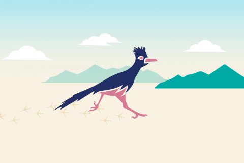 Animal, Kangaroo, Cartoon.
