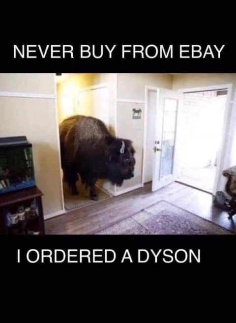 Buffalo, Door, Bison. Text: NEVER BUY FROM EBAY I ORDERED A DYSON
