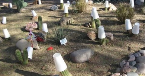 Gravestone, Graveyard, Outdoors.