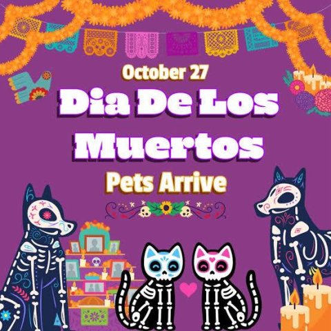 Advertisement, Poster, Purple. Text: October 27 Dia De Los Muertos Pets Arrive