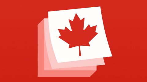 Leaf, Maple Leaf, First Aid.