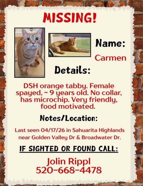 Advertisement, Poster, Cat. Text: MISSING! Name: Carmen Details: DSH orange tabby. Female spayed, ~9 years old. No collar, has microchip. Very friendly, food motivated. Notes/Location: Last seen 04/17/26 in Sahuarita Highlands near Golden Valley Dr &amp; Broadwater Dr. IF SIGHTED OR FOUND CALL: Jolin Rippl 520-668-4478