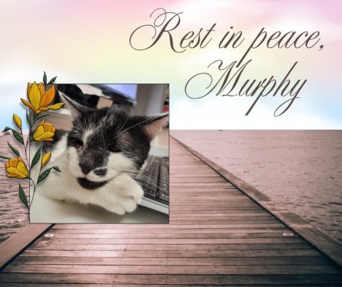 Waterfront, Pier, Port. Text: Rest in peace,