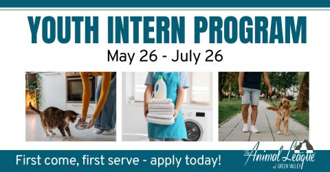 Shorts, Washer, Dog. Text: YOUTH INTERN PROGRAM May 26 - July 26 First come, first serve - apply today!