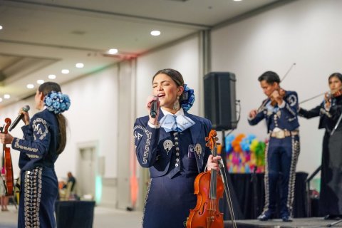Musician, Singing, Violin.