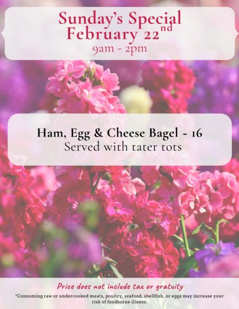 Petal, Advertisement, Poster. Text: Sunday's Special nd February 22 Ham, Egg &amp; Cheese Bagel - 16 Served with tater tots Price does not include tax or gratuity *Consuming raw or undercooked meats, poultry, seafood, shellfish, or eggs may increase your