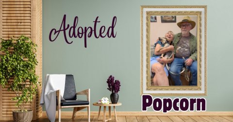 Potted Plant, Painting, Person. Text: Adopted Popcorn