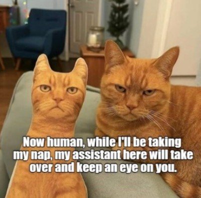 Couch, Chair, Cat. Text: Now human, while I'll be taking my пар, my assistant here will take over and keep an eye on you.