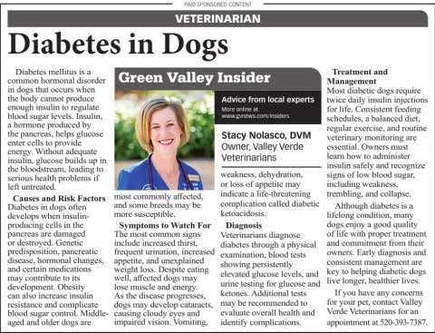 Newspaper, Text, Person. Text: VETERINARIAN Diabetes in Dogs Diabetes mellitus is a Treatment and common hormonal disorder Green Valley Insider Management in dogs that occurs when Most diabetic dogs require the body cannot produce Advice from local experts twice daily insulin injections enough insulin to regulate More online at for life. Consistent feeding blood sugar levels. Insulin, schedules, a balanced diet, a hormone produced by regular exercise, and routine the pancreas, helps glucose Stacy Nolasco, DVM veterinary monitoring are enter cells to provide Owner, Valley Verde essential. Owners must energy. Without adequate learn how to administer Veterinarians insulin, glucose