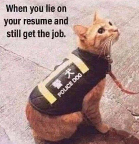 Lifejacket, Cat, Rat. Text: When you lie on your resume and still get the job. * POLICE DOG