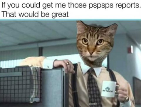 Cup, Tie, Abyssinian. Text: If you could get me those pspsps reports. That would be great - TECH
