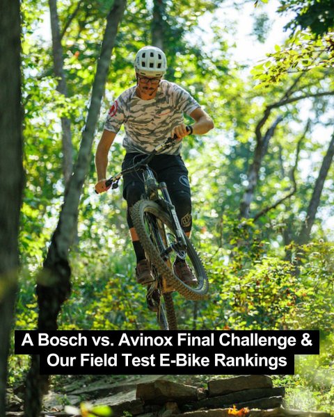 Vegetation, Bicycle, Person. Text: A Bosch vs. Avinox Final Challenge &amp; Our Field Test E-Bike Rankings