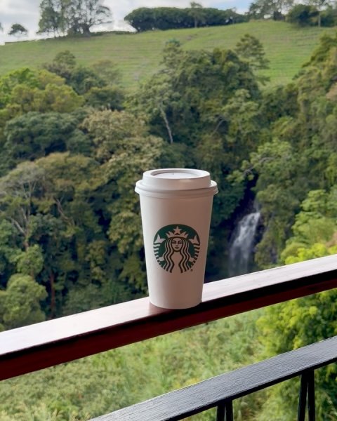 Disposable Cup, Vegetation, Beverage.