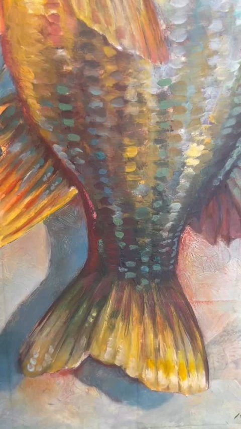 Sea Life, Fish, Person.