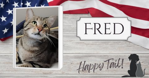 American Flag, Cat, Dog. Text: FRED Happy Tail!
