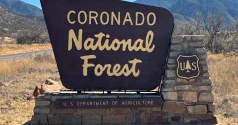 Zoo, Sign, Rock. Text: CORONADO National Forest U S