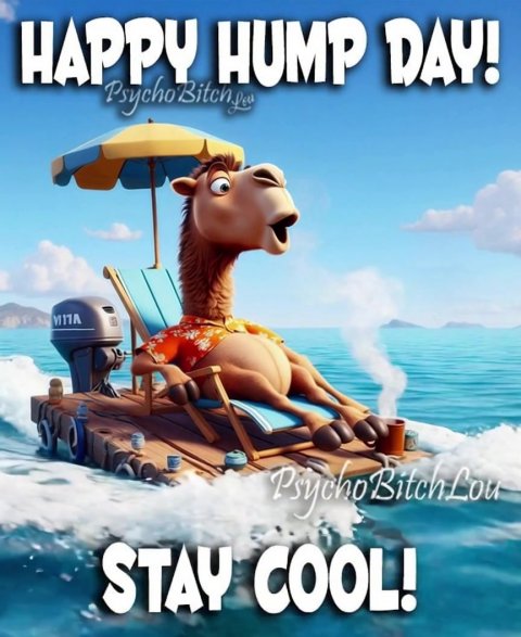Adult, Person, Woman. Text: HAPPY HUMP DAY! STAY COOL!