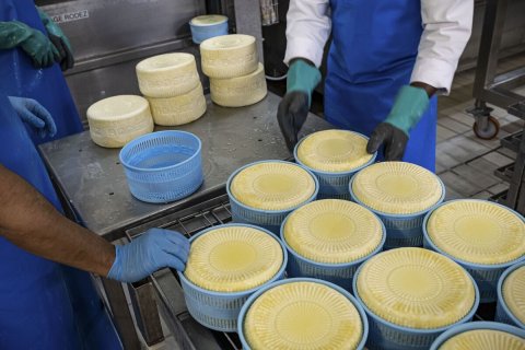 Glove, Shop, Person.