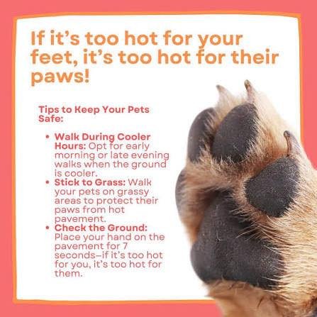 Advertisement, Poster, Hardware. Text: If it's too hot for your feet, it's too hot for their paws! Tips to Keep Your Pets Safe: Walk During Cooler Hours: Opt for early morning or late evening walks when the ground is cooler. Stick to Grass: Walk your pets on grassy areas to protect their paws from hot pavement. Check the Ground: Place your hand on the pavement for 7 seconds-if it's too hot for you, it's too hot for them.