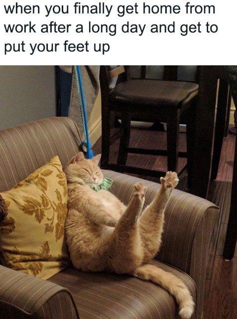 Cushion, Couch, Furniture. Text: when you finally get home from work after a long day and get to put your feet up