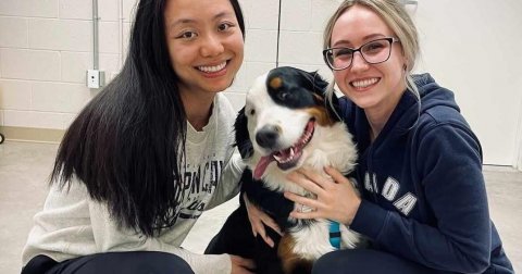 Adult, Person, Woman.