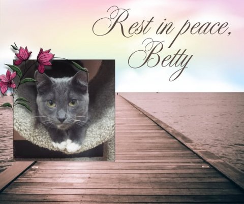 Waterfront, Greeting Card, Pier. Text: Rest in peace, Betty