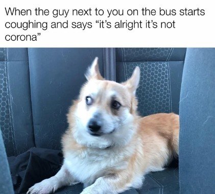 Canine, Dog, Husky. Text: When the guy next to you on the bus starts coughing and says "it's alright it's not corona"