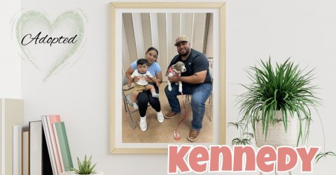 Potted Plant, People, Planter. Text: Adopted