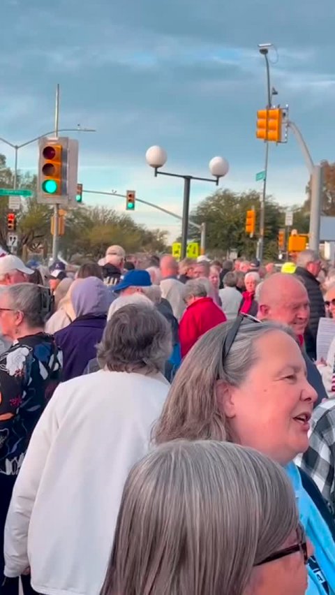 Traffic Light, People, Person.