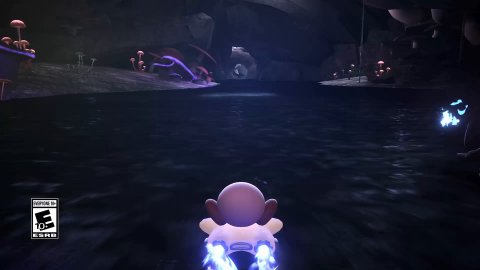 Person, Night, Snowman.