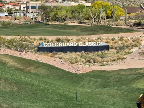 Field, Outdoors, Nature.